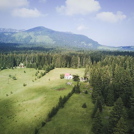 Homestay Djerkovic Zabljak  Exterior photo