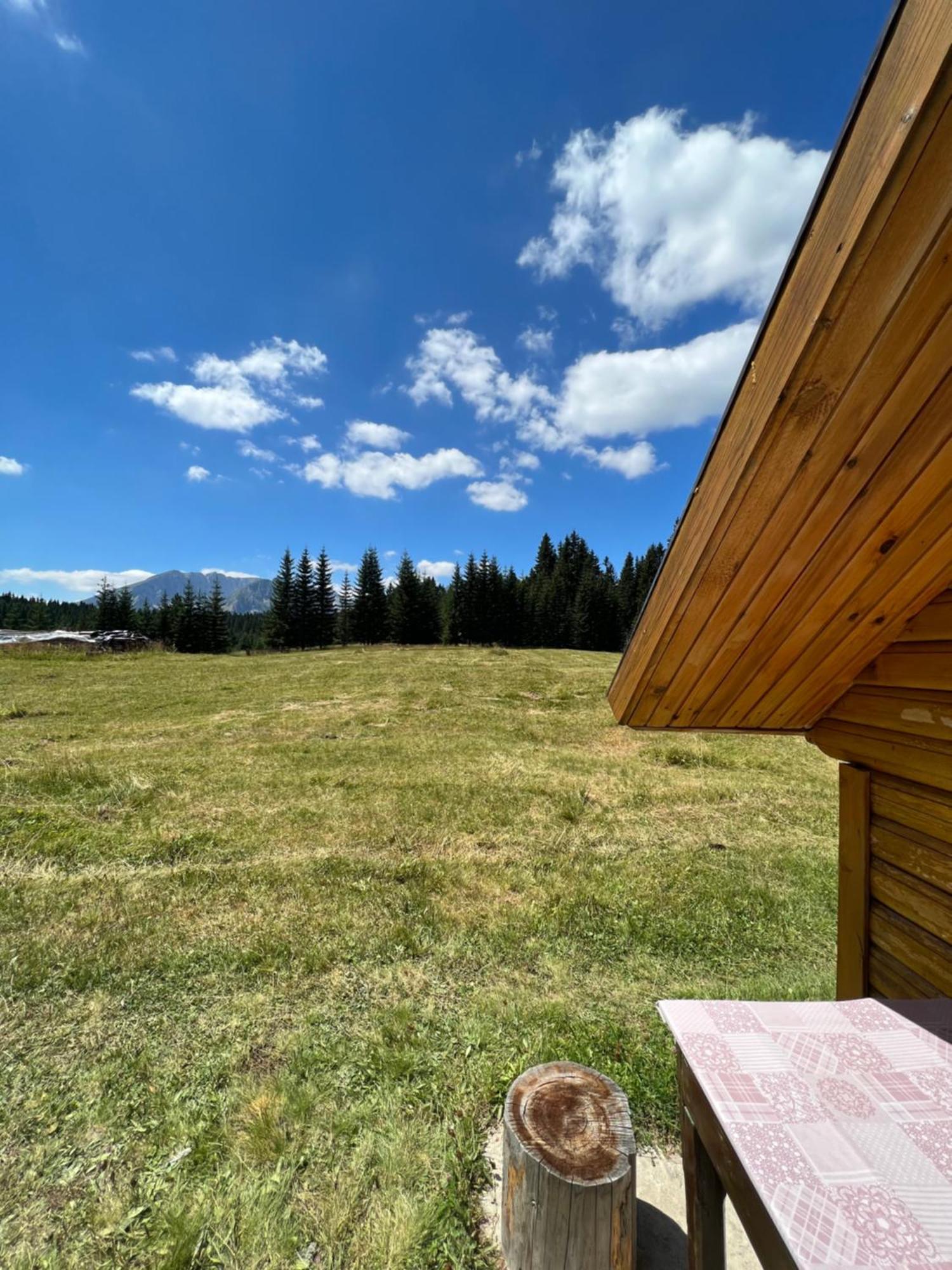 Homestay Djerkovic Zabljak  Exterior photo