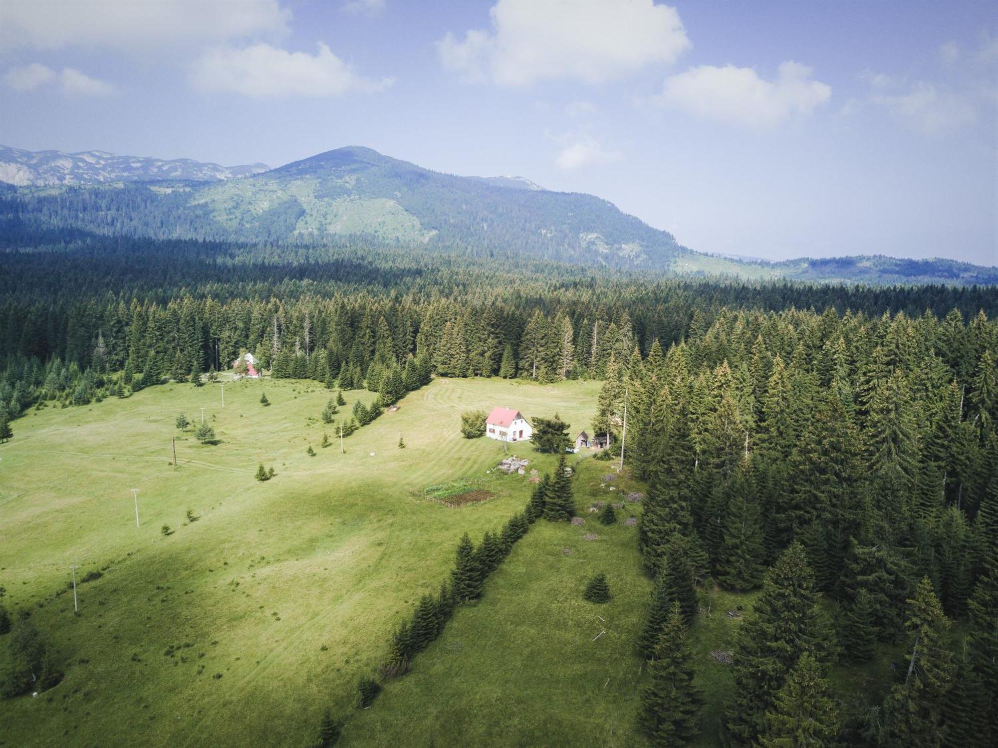 Homestay Djerkovic Zabljak  Exterior photo