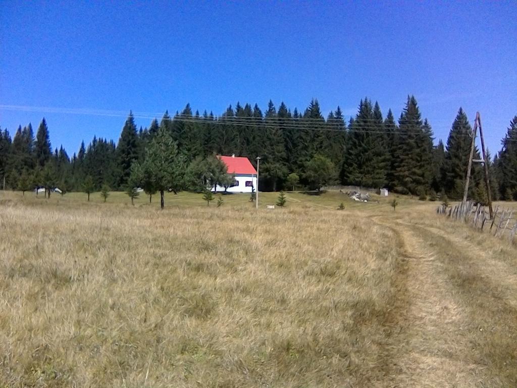 Homestay Djerkovic Zabljak  Exterior photo